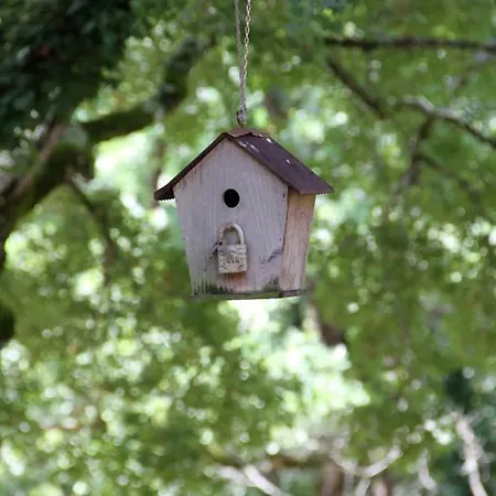 Relais De La Foret Hotel Benon